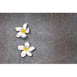 Mosaico Iridis 63 31,6x31,6