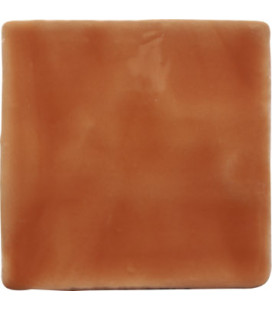 Trending Colours Terracotta 13x13cm.