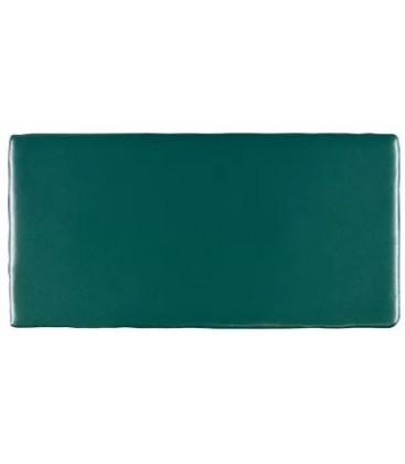 Trending Colours Antic Verde Solido 7,5x15cm.