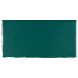 Trending Colours Antic Verde Solido 7,5x15cm.