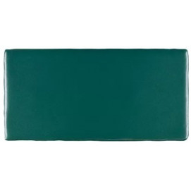 Trending Colours Antic Verde Solido Mate 7,5x15cm.