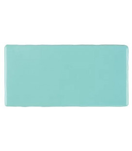 Trending Colours Antic Verde Acqua Mate 7,5x15cm.