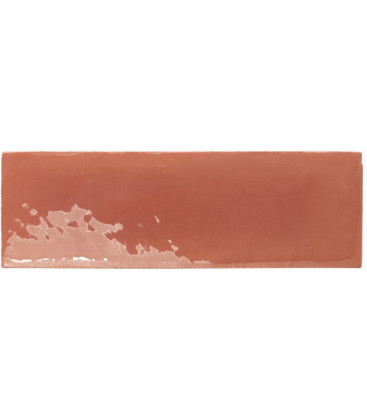 Rebels Terracotta Gloss 5x15cm.