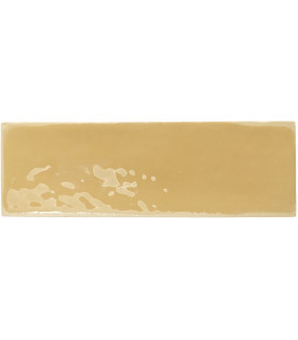 Rebels Mustard Gloss 5x15cm.