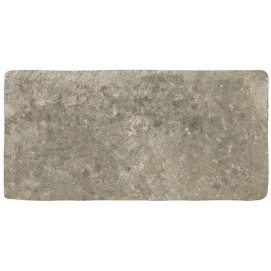 Abbey Stone M Cluny 11x22x1cm.