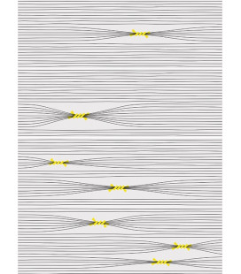 Otomi-4 25x75x1,05cm.