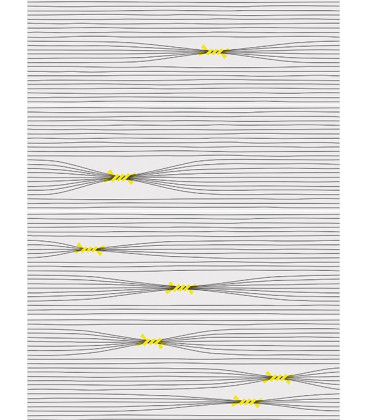 Otomi-4 25x75x1,05cm.