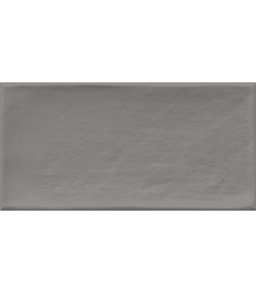 Etnia Gris 10x20x0,75cm.