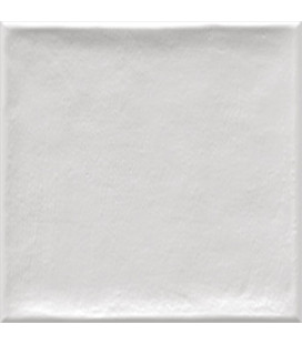 Etnia Blanco 20x20x0,76cm.