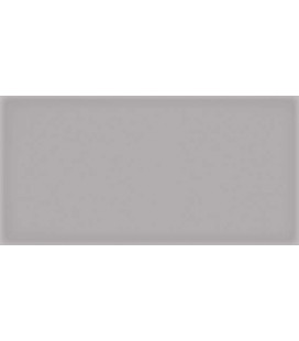 Corso Gris 10x20x0,75cm.