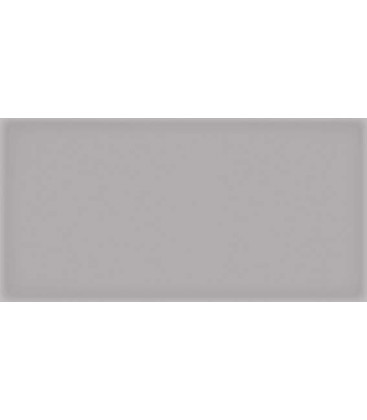 Corso Gris 10x20x0,75cm.