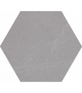 Hexagono Seine Gris 51,9x59,9x0,9cm.