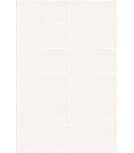 Blanco Brillo 10x20cm.