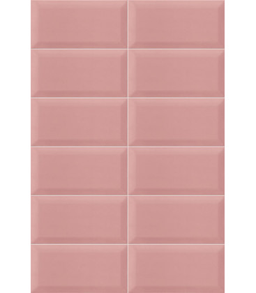 Plus Bissel Pink 10x20cm.