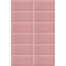 Plus Bissel Pink 10x20cm.