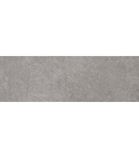 Terme Dur Grey 40x120cm.