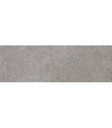 Terme Dur Grey 40x120cm.