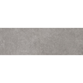 Terme Dur Grey 40x120cm.