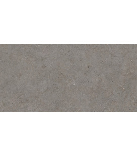 Somport Dur Grey Natural 60x120cm.