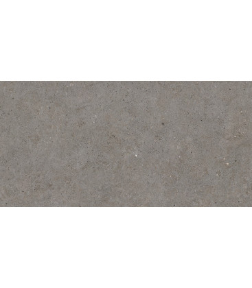 Somport Dur Grey Natural 30x60cm.